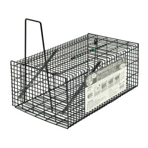 ˂ݕߊlJS p^ ubN  TAKAGI