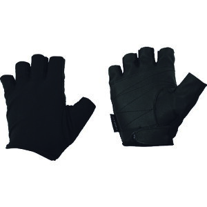 t[o[ VZeBbNU[O[u 5tBK[Xf ubN FB61BKL L ӂ