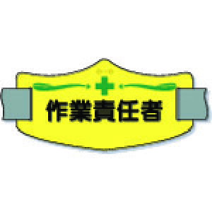 er WE-12S uƐӔCҁv V[gSoht 