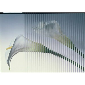 �c�C���J�[�{�J�b�g�� �|���J�[�{�l�[�g����� �N���A�t���X�g 600x900x4.5mm �A�N���T���f�[