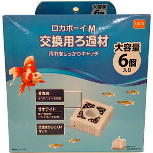 J{[C M pߍ 6 M DCM