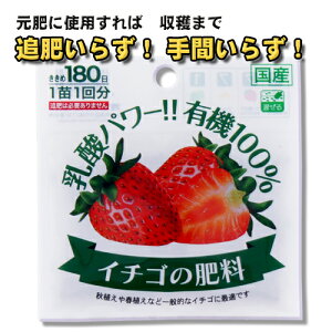 _L@ C`S̔엿 50g 1c1 o[vc