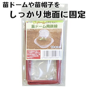 ch[pS 10{ 11.5cm DAIM
