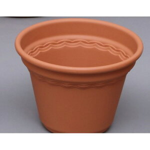 ReB|bg 10 eRb^uE 300×216mm ACXI[}