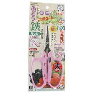 ԂǂۂB-6MB No.B-6MB T{e