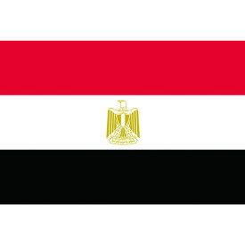 国旗No.2(90×135cm) エジプト・アラブ 426163 東京製旗