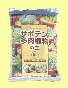 T{eA̓y T{eA̓y 2L ANgErY