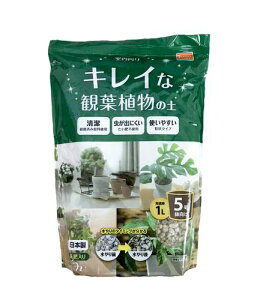 LCȊϗtA̓y 1L 5 DCM