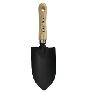 ؕntXRbv ntXRbv EVER GREEN