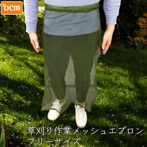 10%OFFN[| 420:00`523:59ƃbVGv bVGv DCM