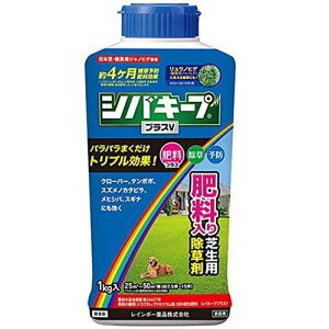 VoL[v Őp vXV ܃^Cv 1kg C{[i