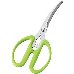 txW J[un͂ FV-402 atCY