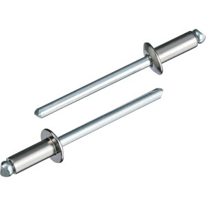 ブラインドリベット(丸頭) ステンレス/スチール製 6−6(500本入) LSS66 LSS66 エビ