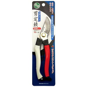 10%OFFN[| 420:00`523:59XeX 200mm Ή