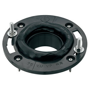 ֊ptW GA-NE020 rXcL GAONA