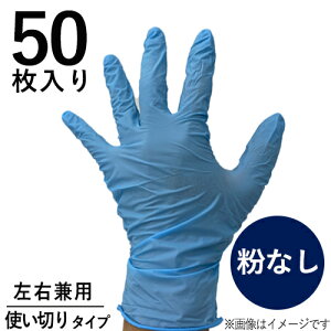 �j�g�����ɂ������ 50�� L DCM