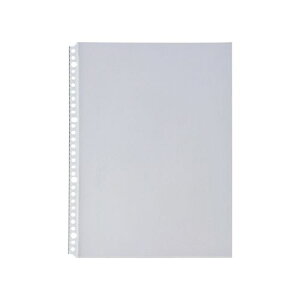 クリヤーポケット厚口(エコノミーパック) A4タテ 30(2・4)穴 20枚パック G49070 リヒト