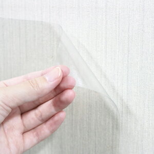 �\���Ă͂�����R�E�C���X�R�ۃV�[�g 90×180cm DCM