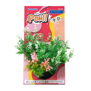 PON t@V[ S KOTOBUKI