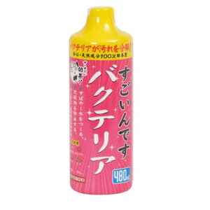 ł 480ml oNeA 480ml KOTOBUKI