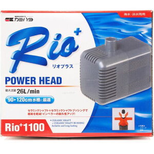 Rio1100 50Hz 1100 50Hz _{Зpi