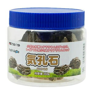 v`ANA̐ CE 350g _{()pi