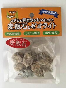 ѐ΂ƃ[ICg_Jp ^p (L)hbOC[