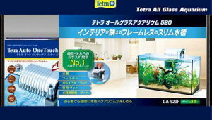 eg I[OXANAE 520 XyNg uY Wp