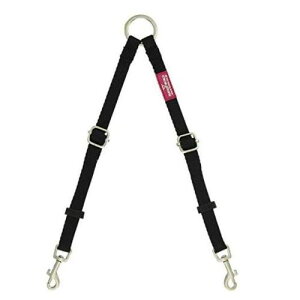 t@^W[ cC[hS ()t@^W[[h