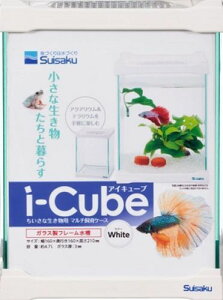 i-CubezCg ()