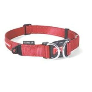 �C�[�W�[�h�b�O �_�u�����b�N�J���[���b�h XL �V��������(��)