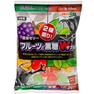 [[t[cƍ_u 20 ()tWR