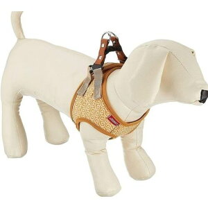 \tgn[lX CG[ S ()[hbO