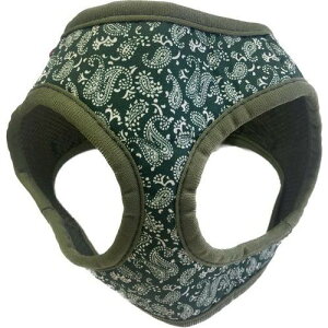 yCY[\tgn[lX O[ SS ()[hbO