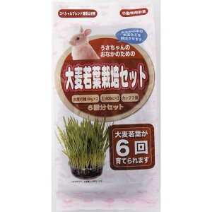 p唞t͔|Zbg 6񕪃Zbg ()A^