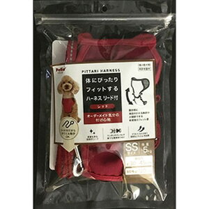 ̂ɂ҂tBbgn[lX [ht bh SS ()yeBI