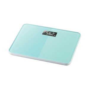 GNA ̏dv HCS-S01BU u[ ELECOM