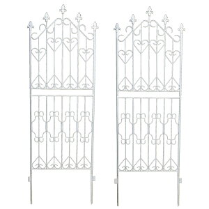 ACAtFX DF009L zCg [^Cv 2g zCg [^Cv 2g SST