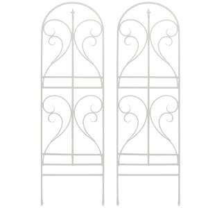 ACAgX tBjA IF-FN7950 zCg 2g zCg 2g SST