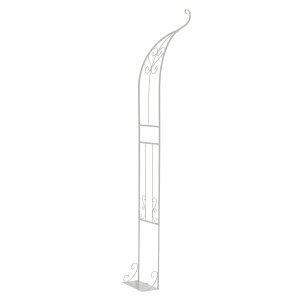 ACAn[tA[`(VO) IA-HF003WHT zCg 55×s30×211.5cm(1) zCg 55×s30×211.5cm(1) SST