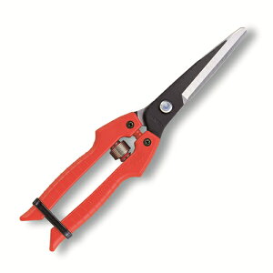 SE-65 ���� �ʂ˂��p ���� SE-65 �A���X�R�[�|���[�V����