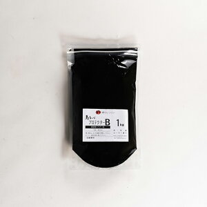 黒しっくいリペアー材 プロテクターB SH-18-800126--TU 1kg 1kg ホームテイスト しっくい 漆喰 壁材 かべ 塗材 塗り材 すさ 麻 壁カラー 仕上げ材 古壁 着色剤