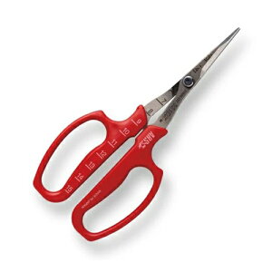 ԂǂE Ȑn ܓ 321DX-M AXR[|[V