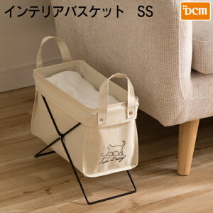 CeAoXPbg F-IBD03 x[W SS DCM