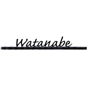 \D Be[WACA NVIR-A1-6 CuV 薳 ێO^JM