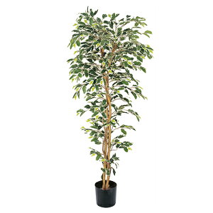 xW~tBJXnCA1.5M GLP-1320 `150cm POPPY