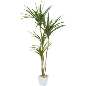 tFCNO[ bJ|bg GLA-1389 `150cm POPPY ϗtA  A CeA V Mtg v[g j J J@ JX Vz z ړ] 