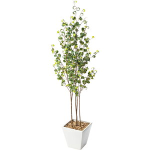 xW~obN|bg GLA-1505 `120cm POPPY