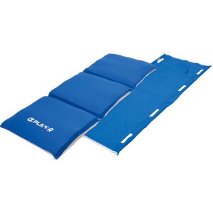 At@vRS˕t PLAR-01-SR01 Taica