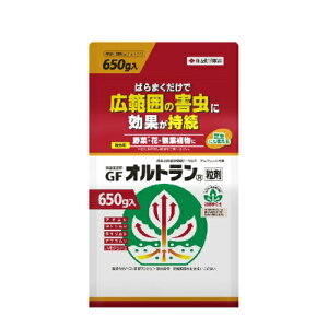 Ig 650g E ZFw|
